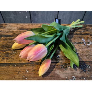 Countryfield Boeket Tulp Tulipa 3D S zalm-L15B15H29CM