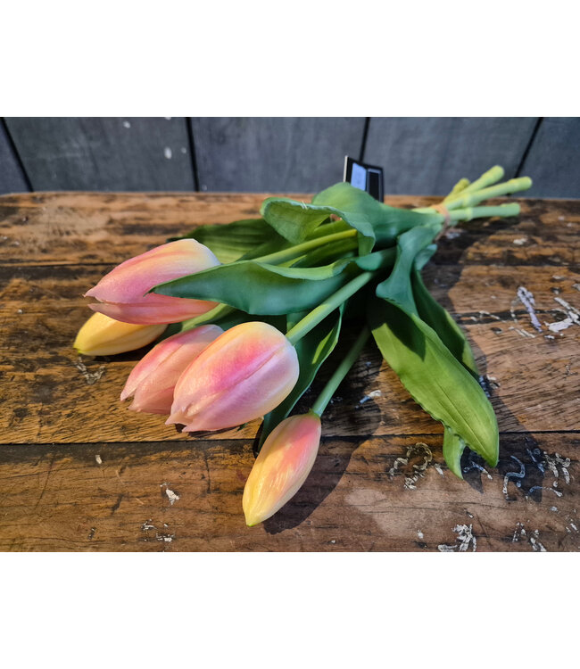 Countryfield Boeket Tulp Tulipa 3D S zalm-L15B15H29CM