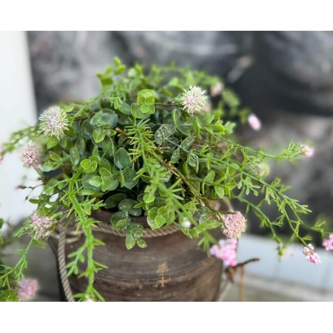 Countryfield Deco halve bol Echinops/eucalipthus L roze-15B30H30CM