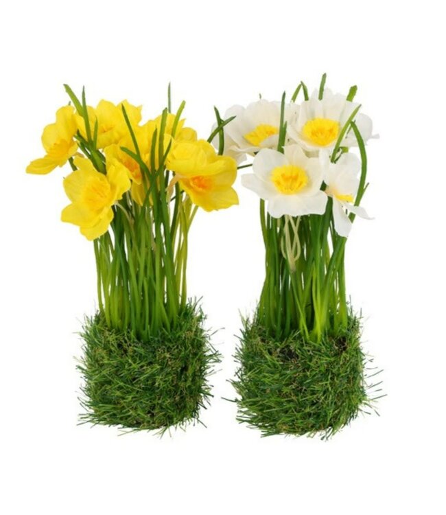 Countryfield ### Flower on base Narcissus wit-16x13x22CM - per stuk