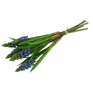 Countryfield Bundel Muscari blauw-16x6x26CM