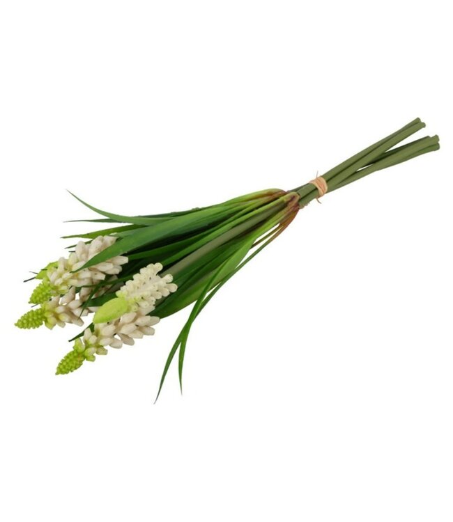 Countryfield Bundel Muscari wit-16x6x26CM