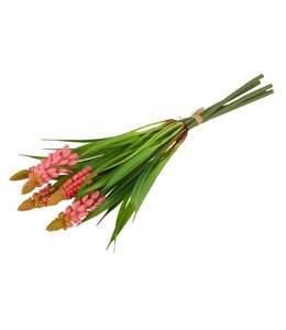 Countryfield ## Bundel Muscari roze-16x6x26CM