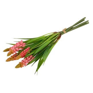 Countryfield Bundel Muscari roze-16x6x26CM