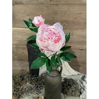 # Roze pioenroos 61 cm