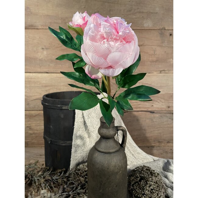 # Roze pioenroos 61 cm