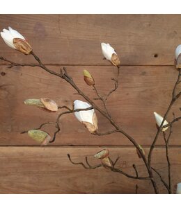 # Witte magnolia knoppen tak "Kelsey" 108 cm
