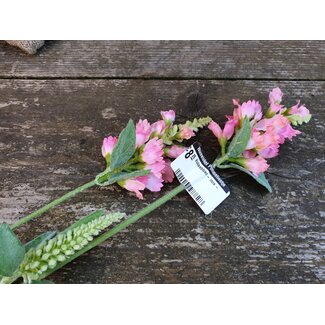 # Klokjesbloem - roze -