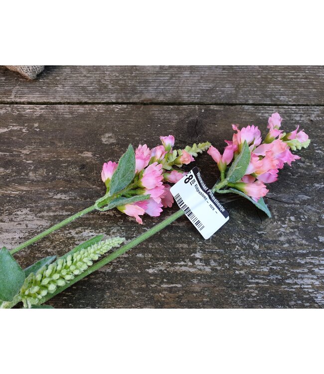 ## Klokjesbloem - roze -