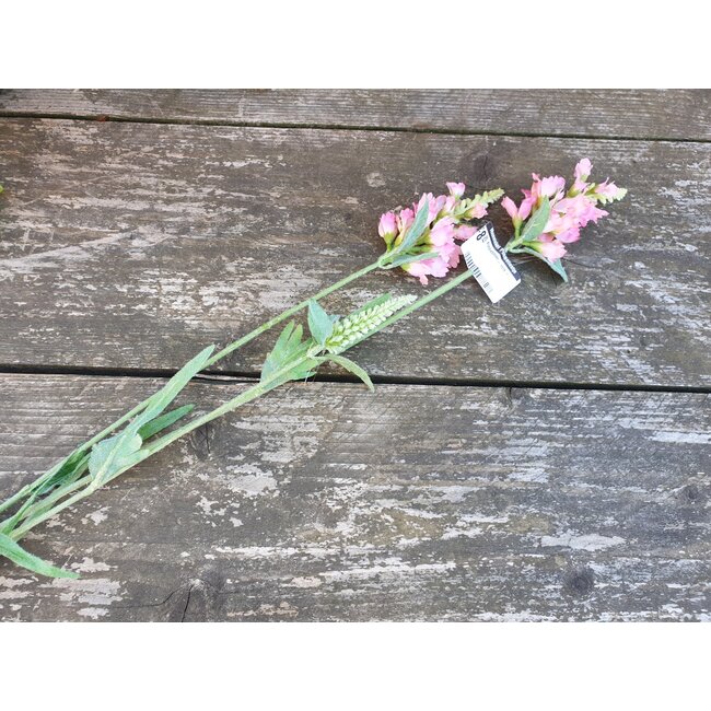 # Klokjesbloem - roze -