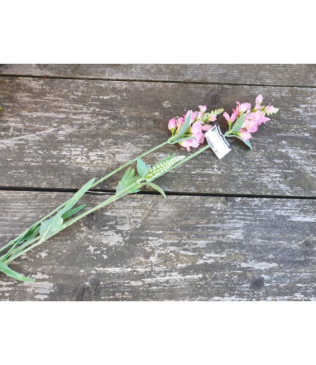 ## Klokjesbloem - roze -