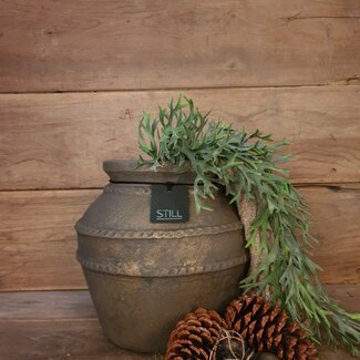 Countryfield Poaceae groen-L33B10H75CM kunst