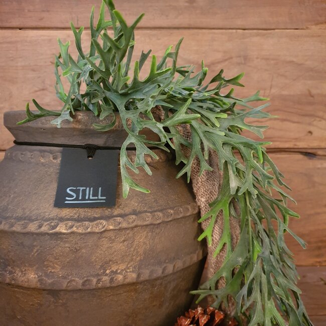 Countryfield # Poaceae groen-L33B10H75CM kunst