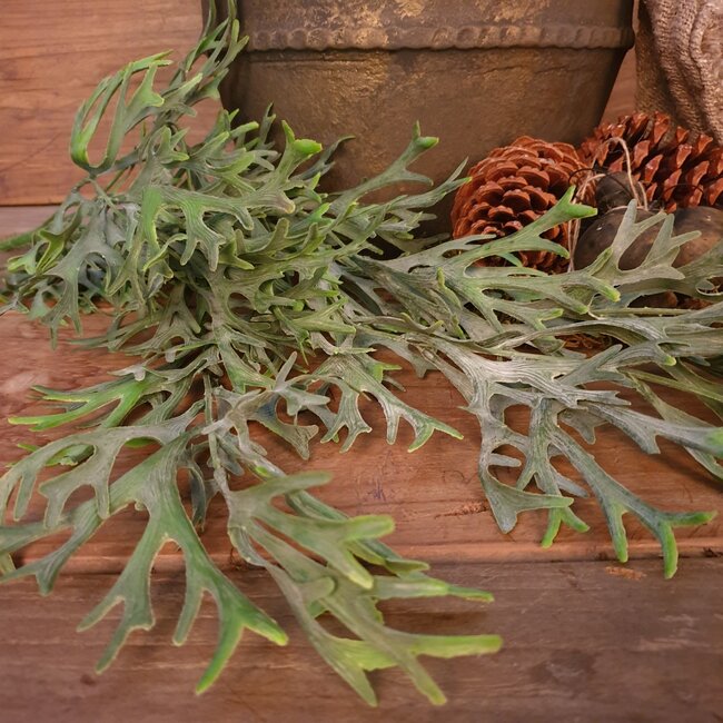 Countryfield # Poaceae groen-L33B10H75CM kunst