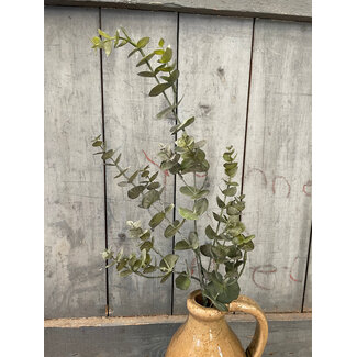 Countryfield # Eucalyptus S groen-L19B19H79CM