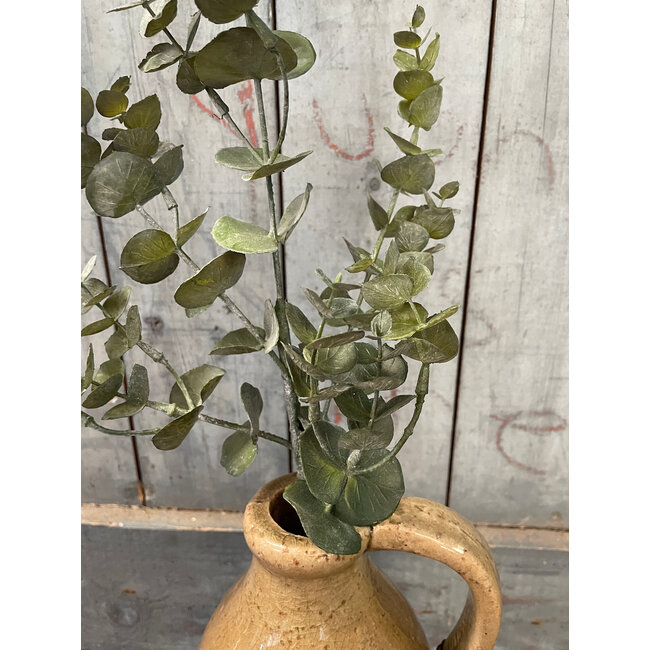 Countryfield # Eucalyptus S groen-L19B19H79CM