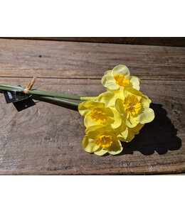 Countryfield # Kunst bundel narcissus 3 x geel