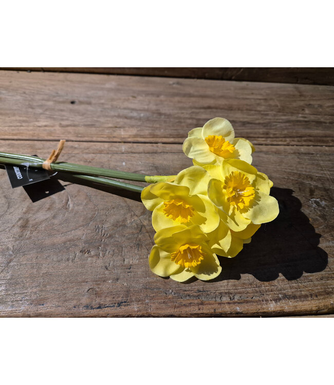 Countryfield # Kunst bundel narcissus 3 x geel