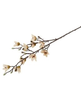 Countryfield # Bloem Magnolia miranda crème-20x20x92CM