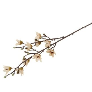 Countryfield Bloem Magnolia miranda crème-20x20x92CM