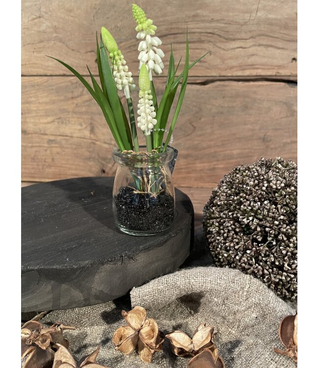 # Witte druifjes in glazen potje "Muscari Desire" 17 cm