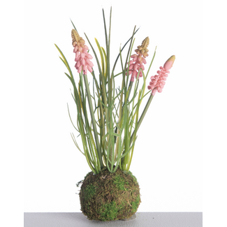 Muscari x3 on Mossball L24cm Pink