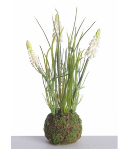 # Muscari x3 on Mossball L24cm White