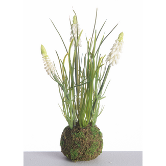 Muscari x3 on Mossball L24cm White