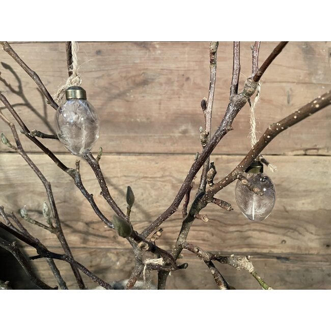 Doos glazen eitjes met veer, 9 stuks