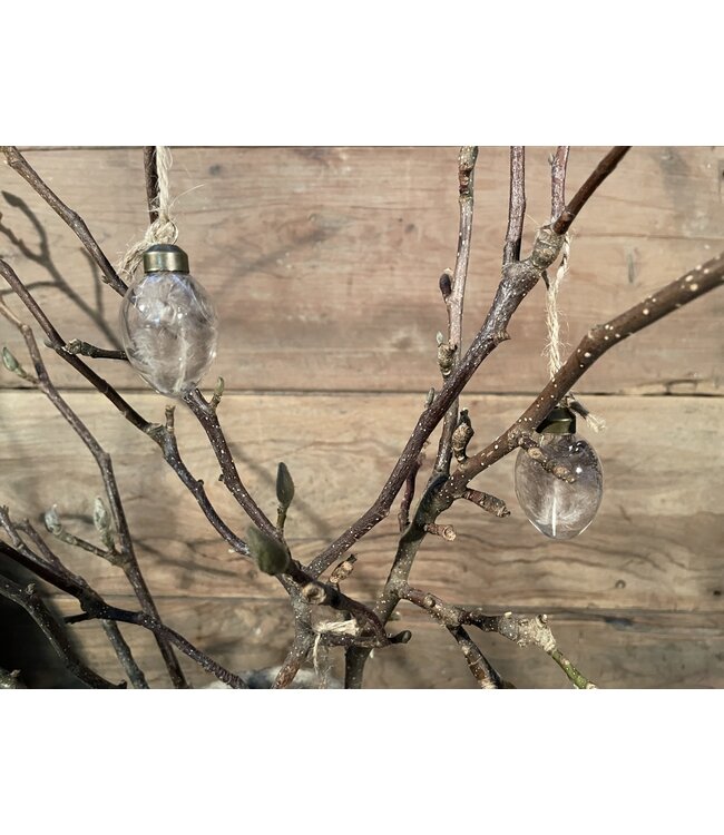 # Doos glazen eitjes met veer, 9 stuks
