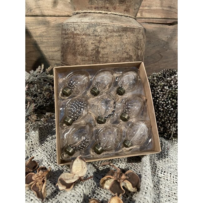 Doos glazen eitjes met veer, 9 stuks