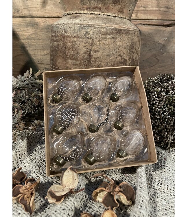 # Doos glazen eitjes met veer, 9 stuks