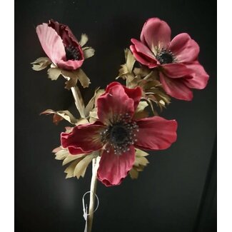 anemone 50 cm - burgundy