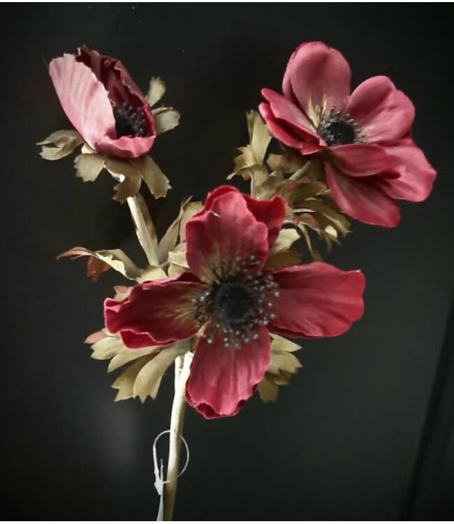 # anemone 50 cm - burgundy