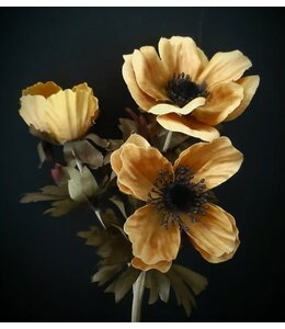 # anemone 50 cm - mustard