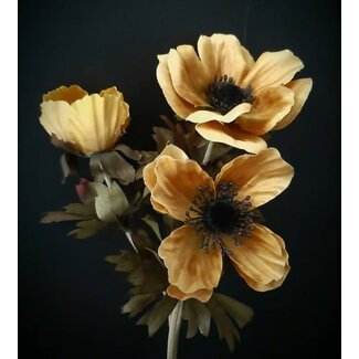 anemone 50 cm - mustard