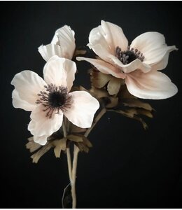 # anemone 50 cm - creme pink