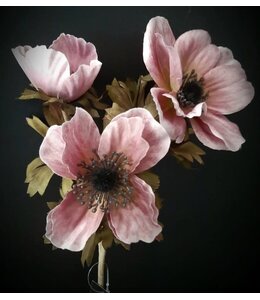 # anemone 50 cm - pink