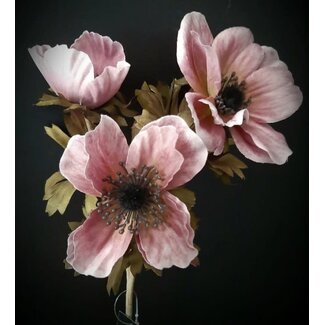 anemone 50 cm - pink