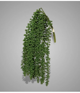 # Bundle of 3 Pea Green 60 cm
