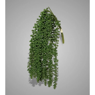 Bundle of 3 Pea Green 60 cm