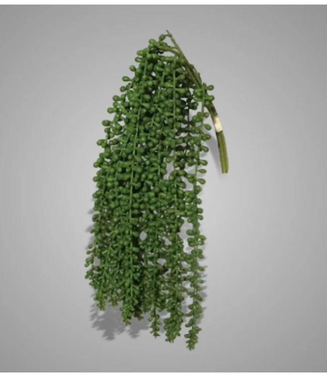 # Bundle of 3 Pea Green 60 cm