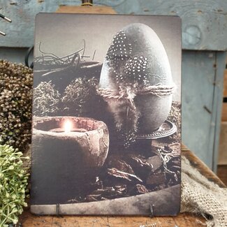 Afbeelding ei met veer