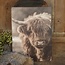 # 891 - afbeelding op hardboard - hooglander  - 14 x 19 cm