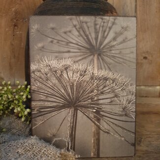 747 - Afbeelding op hardboard - berenklauw - 14 x 19 cm