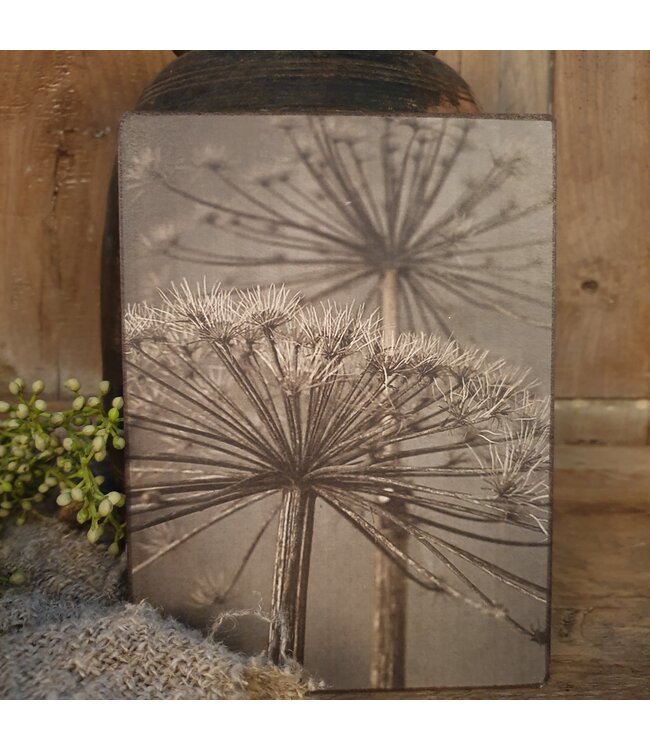 # 747 - Afbeelding op hardboard - berenklauw - 14 x 19 cm