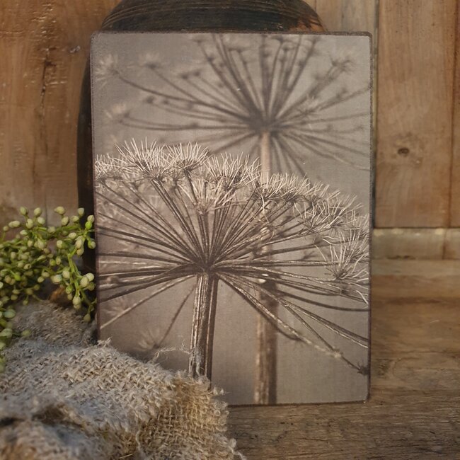 747 - Afbeelding op hardboard - berenklauw - 14 x 19 cm