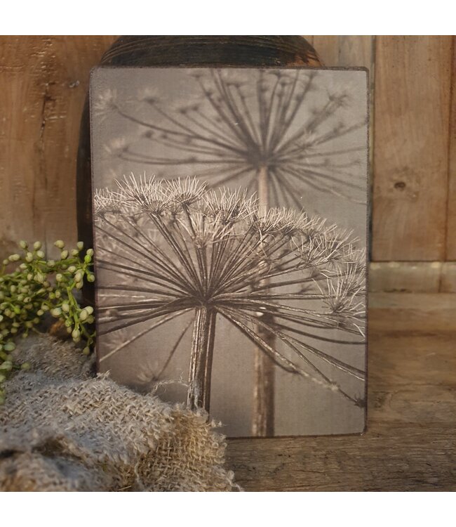 # 747 - Afbeelding op hardboard - berenklauw - 14 x 19 cm