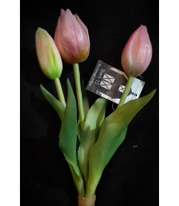 # tulip Sarah pink - bosje 3 stelen - 25 cm
