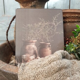 # 873 - 2 potten asparagus - 19 x 14 cm - afbeelding op hardboard